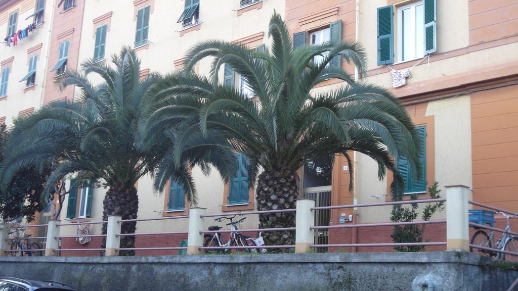 Chez Elio Daire La Spezia Oda fotoğraf